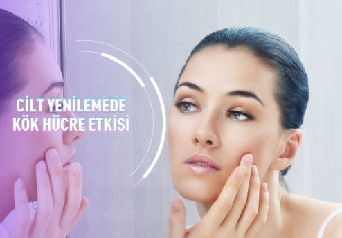 Cilt Yenilemede Kök Hücre Etkisi