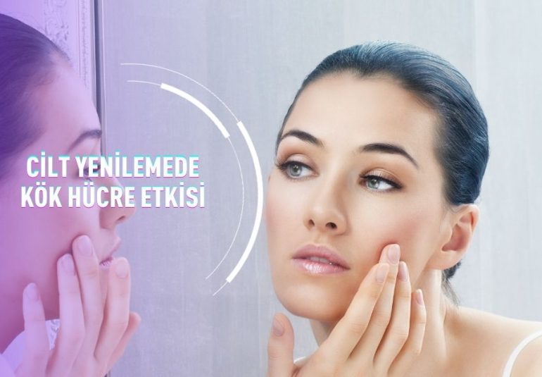 Cilt Yenilemede Kök Hücre Etkisi
